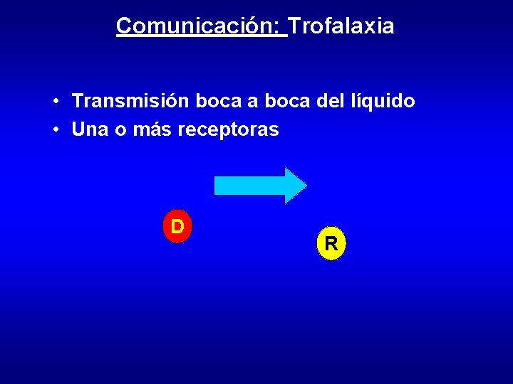 Comunicación: Trofalaxia • Transmisión boca a boca del líquido • Una o más receptoras