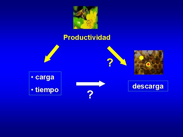Productividad ? • carga • tiempo ? descarga Productividad ? • carga • tiempo ? descarga