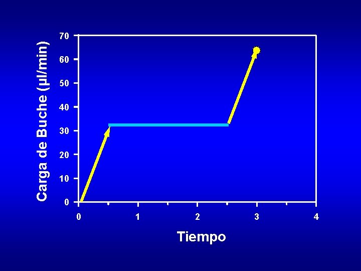 Carga de Buche (µl/min) 70 60 50 40 30 20 10 0 0 1