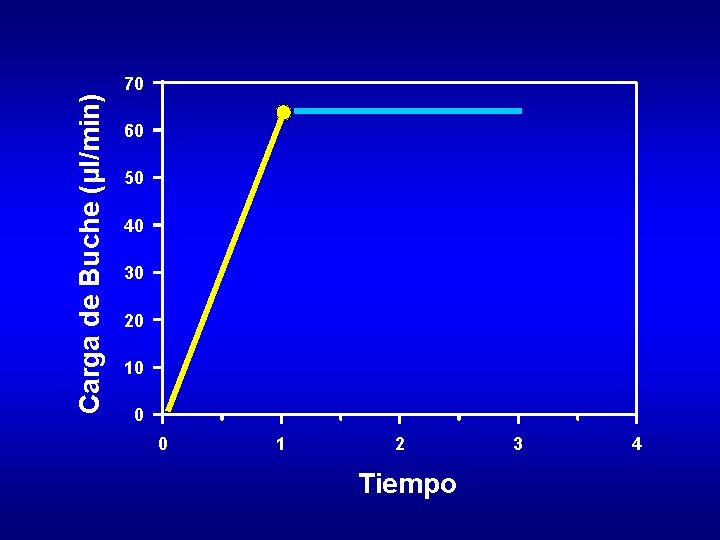 Carga de Buche (µl/min) 70 60 50 40 30 20 10 0 0 1