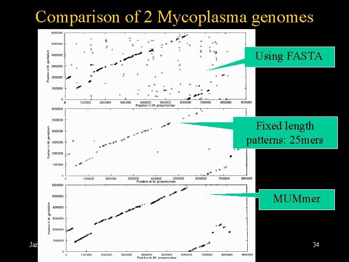 Describe Fasta Comparison Algorithm Comparative genomics Overview Tools MUMmer algorithm Urmila KulkarniKale