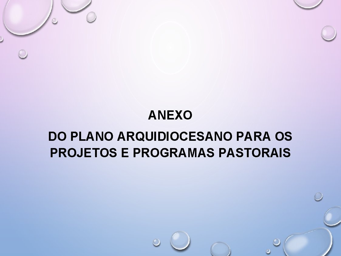 ANEXO DO PLANO ARQUIDIOCESANO PARA OS PROJETOS E PROGRAMAS PASTORAIS 