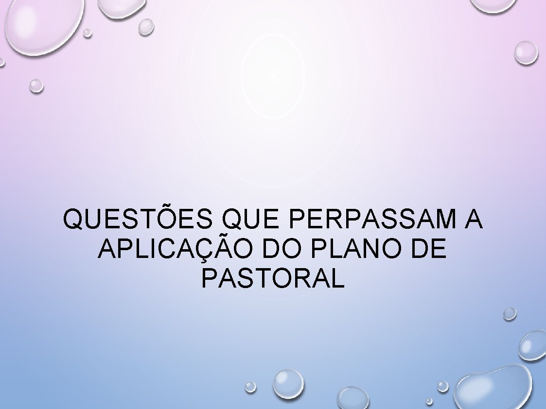 QUESTÕES QUE PERPASSAM A APLICAÇÃO DO PLANO DE PASTORAL 