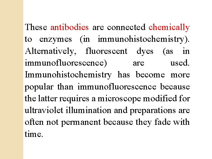 These antibodies are connected chemically to enzymes (in immunohistochemistry). Alternatively, fluorescent dyes (as in