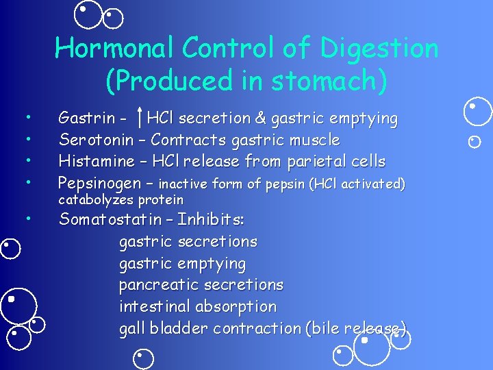 Hormonal Control of Digestion (Produced in stomach) • • Gastrin - HCl secretion &