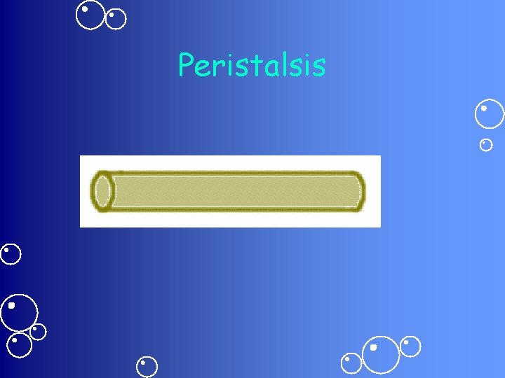 Peristalsis 