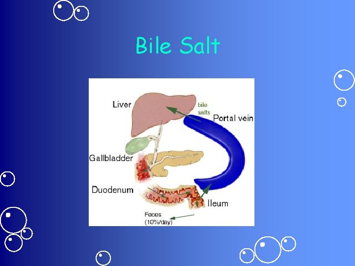 Bile Salt 