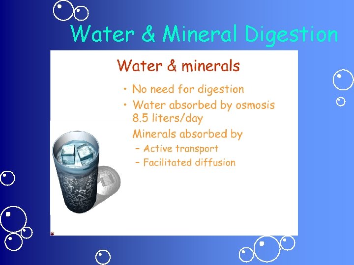 Water & Mineral Digestion 