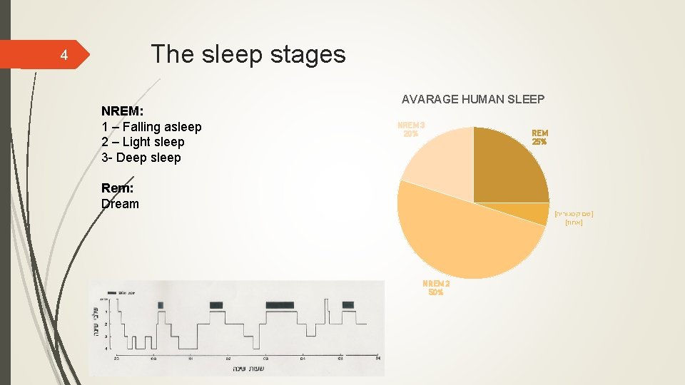 The sleep stages 4 NREM: 1 – Falling asleep 2 – Light sleep 3
