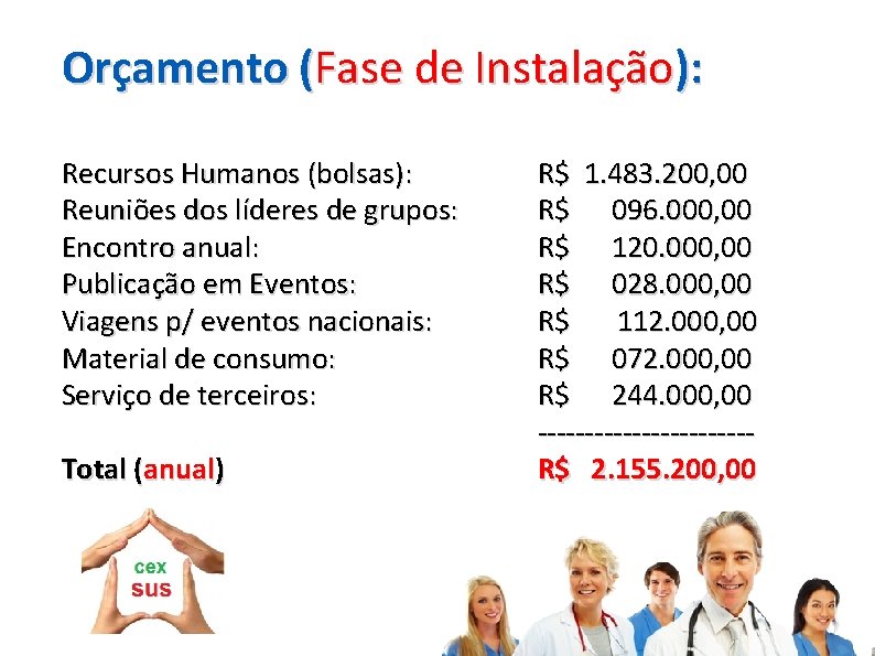 Orçamento (Fase de Instalação): Recursos Humanos (bolsas): Reuniões dos líderes de grupos: Encontro anual: