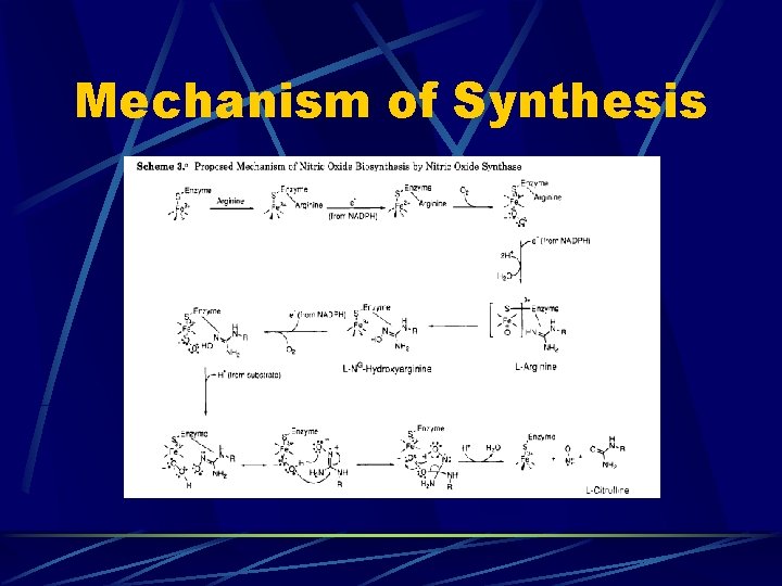 Mechanism of Synthesis 