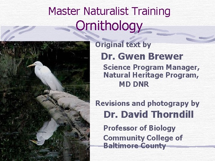 Master Naturalist Training Ornithology Original text by Dr. Gwen Brewer Science Program Manager, Natural