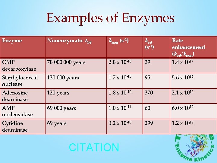 Examples of Enzymes Enzyme Nonenzymatic t 1/2 knon (s-1) kcat (s-1) Rate enhancement (kcat/knon)