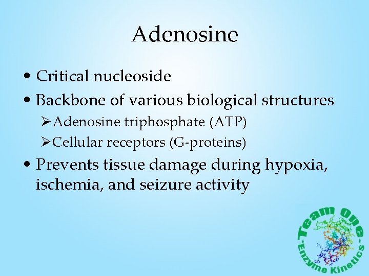 Adenosine • Critical nucleoside • Backbone of various biological structures ØAdenosine triphosphate (ATP) ØCellular