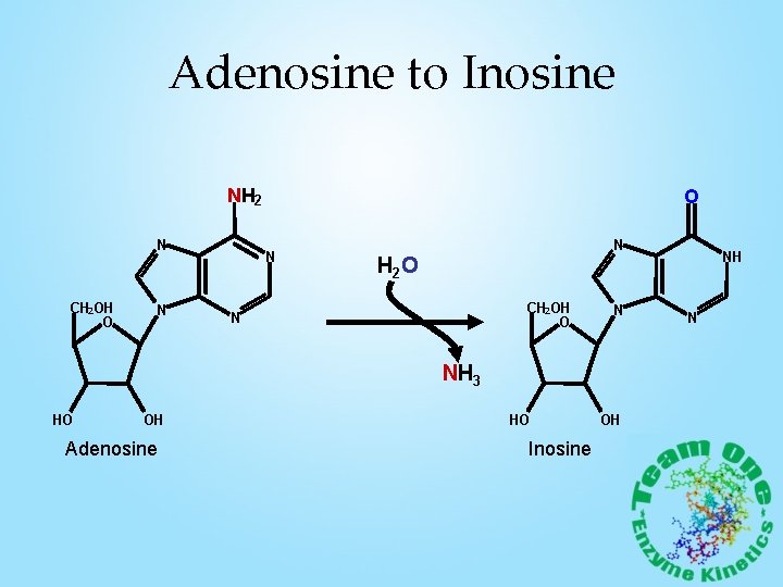 Adenosine to Inosine NH 2 N CH 2 OH O N N NH 3