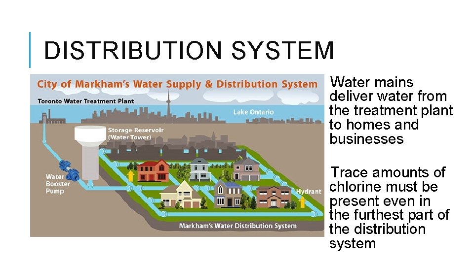 DISTRIBUTION SYSTEM Water mains deliver water from the treatment plant to homes and businesses DISTRIBUTION SYSTEM Water mains deliver water from the treatment plant to homes and businesses