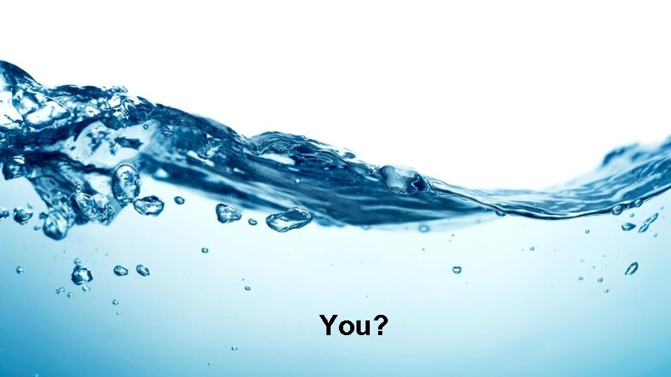 You? You?