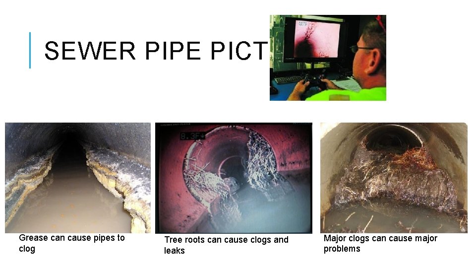 SEWER PIPE PICTURES Grease can cause pipes to clog Tree roots can cause clogs SEWER PIPE PICTURES Grease can cause pipes to clog Tree roots can cause clogs