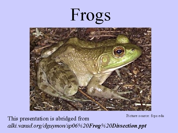 Frogs Picture source: fcps. edu This presentation is abridged from alki. vansd. org/dguymon/sp 06%20