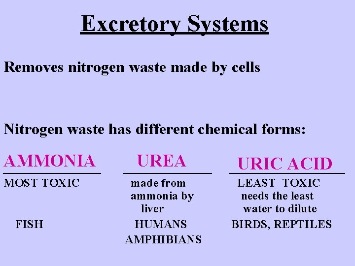 Excretory Systems Removes nitrogen waste made by cells Nitrogen waste has different chemical forms: