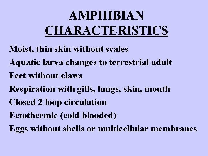 AMPHIBIAN CHARACTERISTICS Moist, thin skin without scales Aquatic larva changes to terrestrial adult Feet