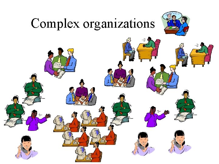 Complex organizations 