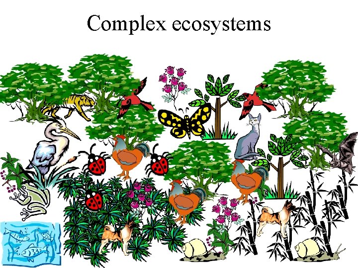 Complex ecosystems 