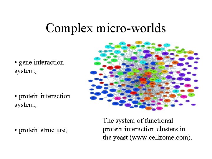 Complex micro-worlds • gene interaction system; • protein structure; The system of functional protein