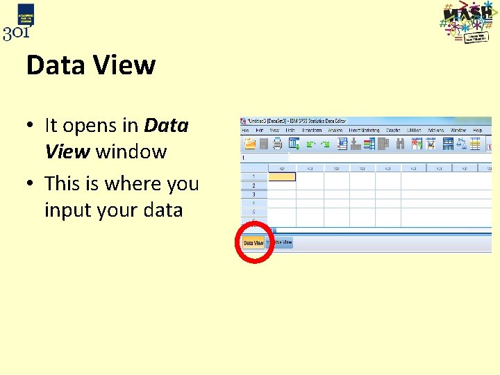 Data View • It opens in Data View window • This is where you