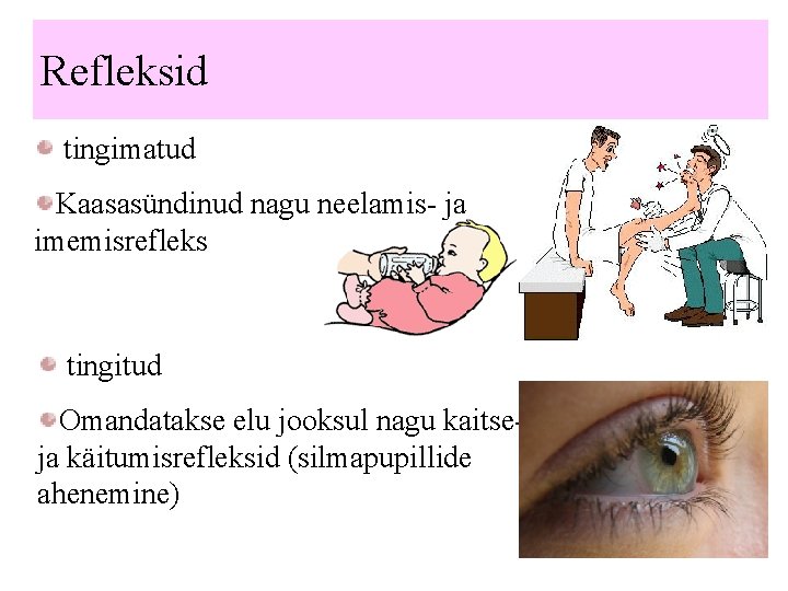 Refleksid tingimatud Kaasasündinud nagu neelamis- ja imemisrefleks tingitud Omandatakse elu jooksul nagu kaitseja käitumisrefleksid