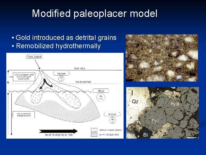 Modified paleoplacer model • Gold introduced as detrital grains • Remobilized hydrothermally 