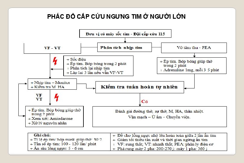 PHÁC ĐỒ CẤP CỨU NGƯNG TIM Ở NGƯỜI LỚN 