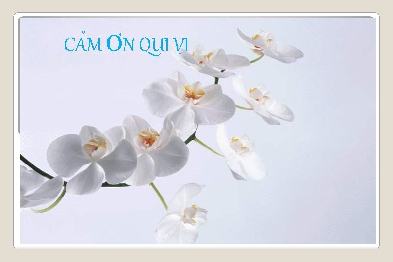 CAM ƠN QUI VI 