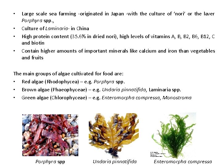  • • Large scale sea farming -originated in Japan -with the culture of