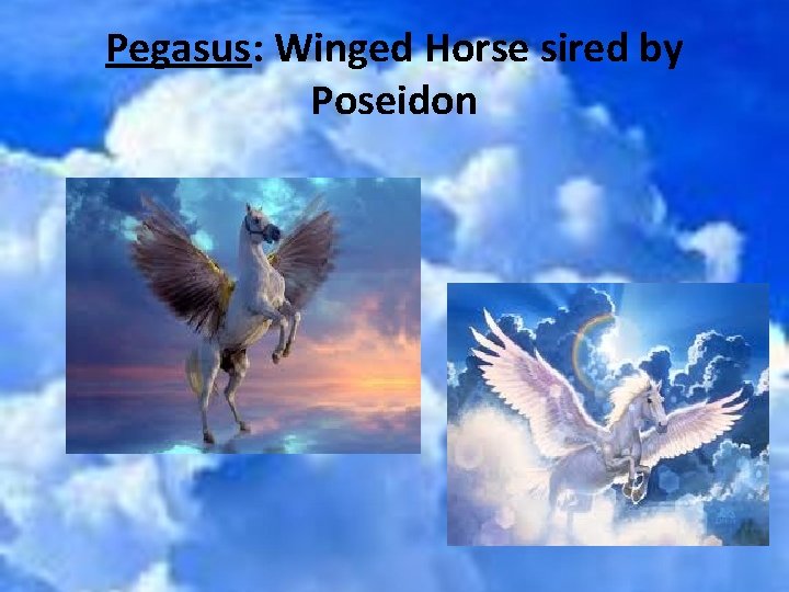 Pegasus: Winged Horse sired by Poseidon 