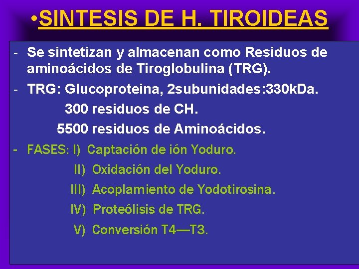  • SINTESIS DE H. TIROIDEAS - Se sintetizan y almacenan como Residuos de