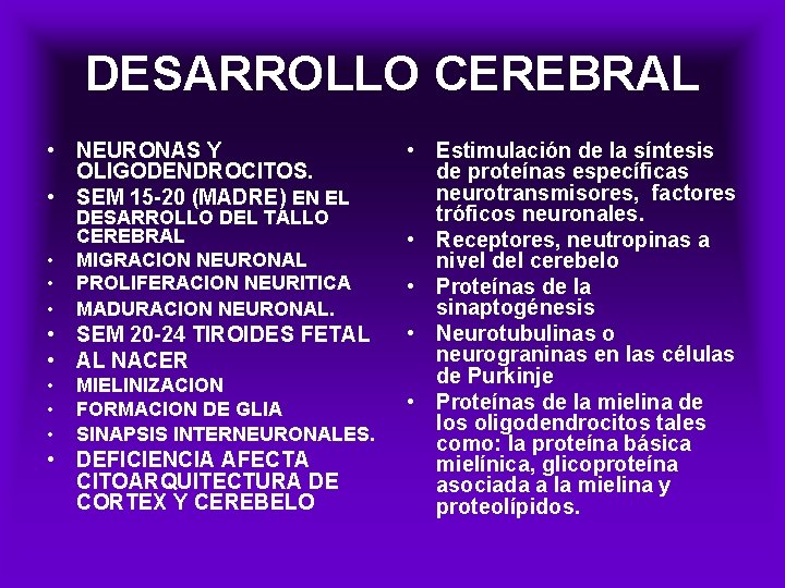 DESARROLLO CEREBRAL • NEURONAS Y OLIGODENDROCITOS. • SEM 15 -20 (MADRE) EN EL •