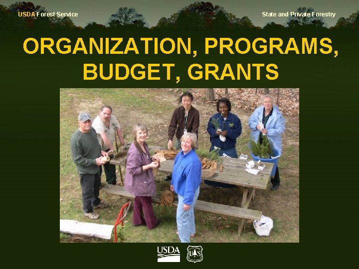 USDA Forest Service State and Private Forestry ORGANIZATION, PROGRAMS, BUDGET, GRANTS 