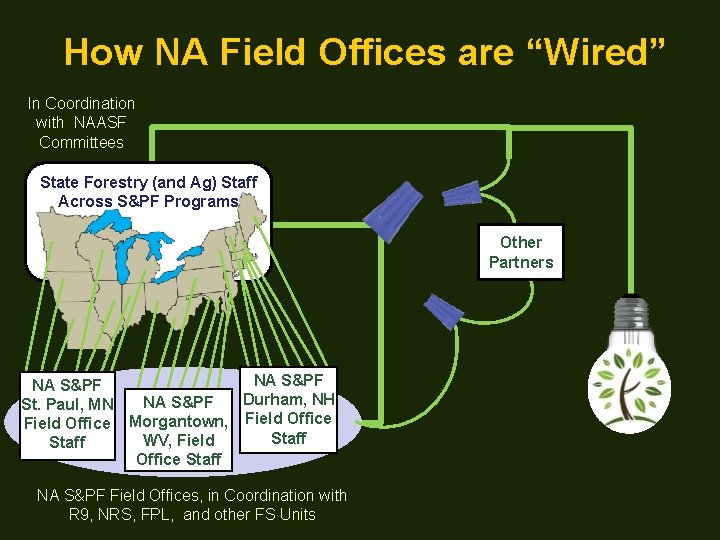 How NA Field Offices are “Wired” In Coordination with NAASF Committees State Forestry (and