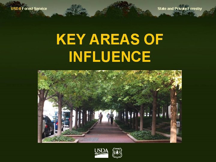 USDA Forest Service State and Private Forestry KEY AREAS OF INFLUENCE 