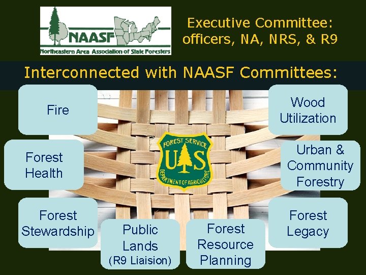 Executive Committee: officers, NA, NRS, & R 9 Interconnected with NAASF Committees: Wood Utilization