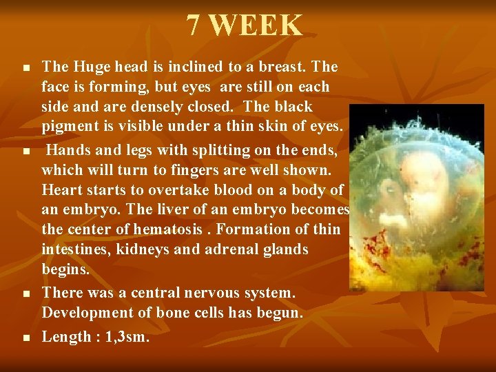 7 WEEK n n The Huge head is inclined to a breast. The face
