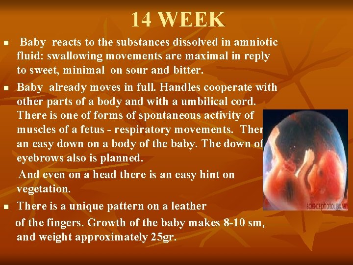14 WEEK n n n Baby reacts to the substances dissolved in amniotic fluid: