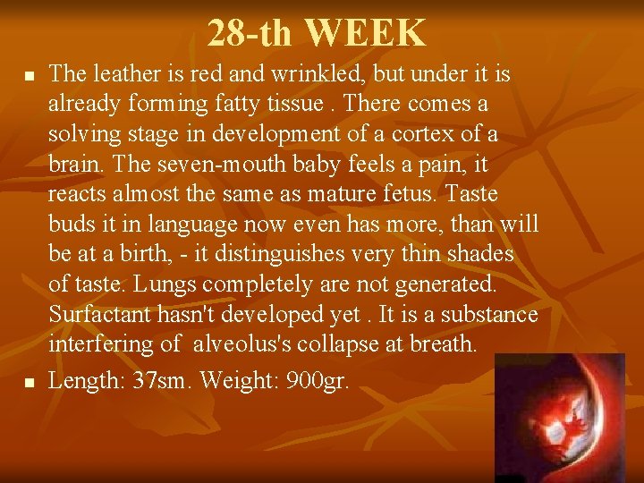 28 -th WEEK n n The leather is red and wrinkled, but under it