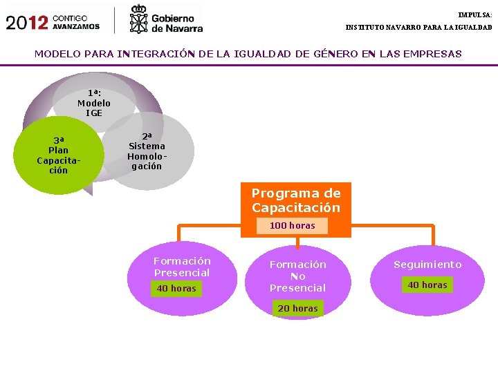 IMPULSA: INSTITUTO NAVARRO PARA LA IGUALDAD MODELO PARA INTEGRACIÓN DE LA IGUALDAD DE GÉNERO