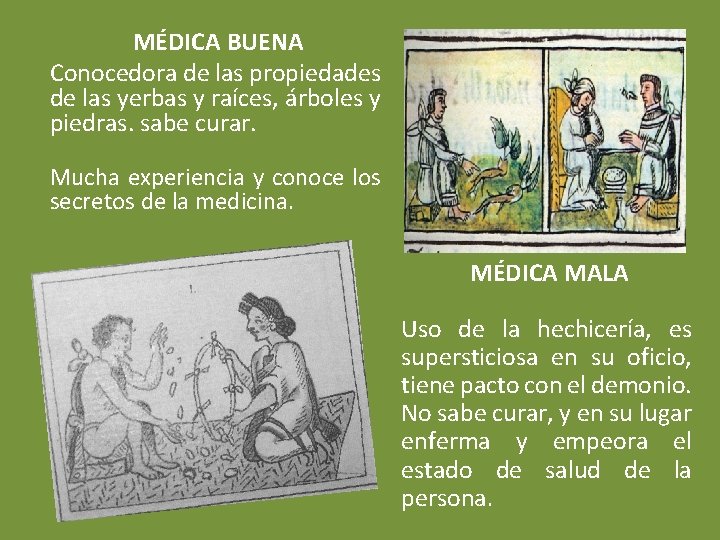 MÉDICA BUENA Conocedora de las propiedades de las yerbas y raíces, árboles y piedras.