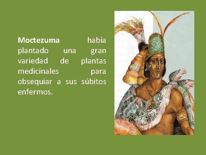 Moctezuma había plantado una gran variedad de plantas medicinales para obsequiar a sus súbitos