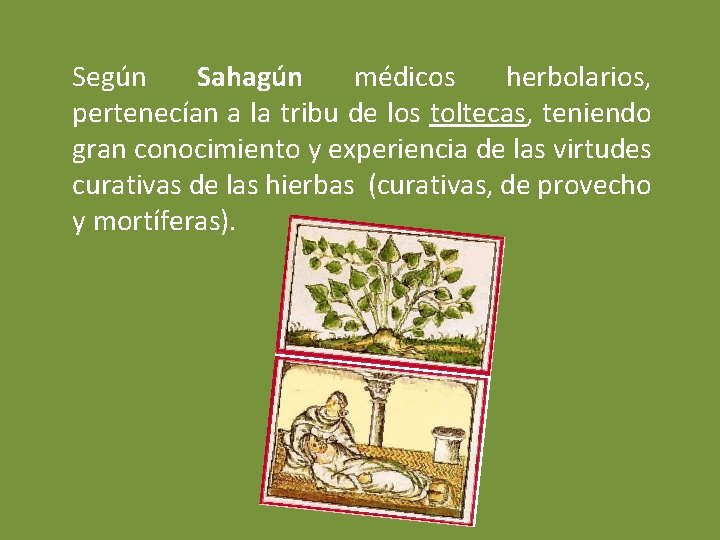 Según Sahagún médicos herbolarios, pertenecían a la tribu de los toltecas, teniendo gran conocimiento