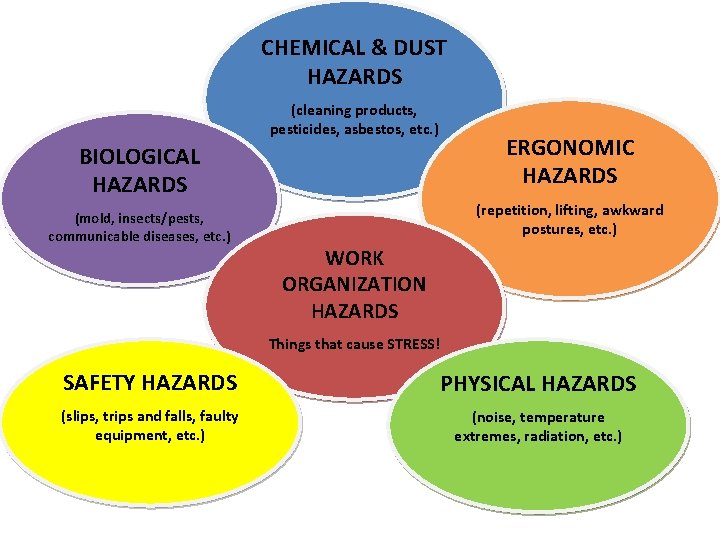 CHEMICAL & DUST HAZARDS (cleaning products, pesticides, asbestos, etc. ) BIOLOGICAL HAZARDS (mold, insects/pests,