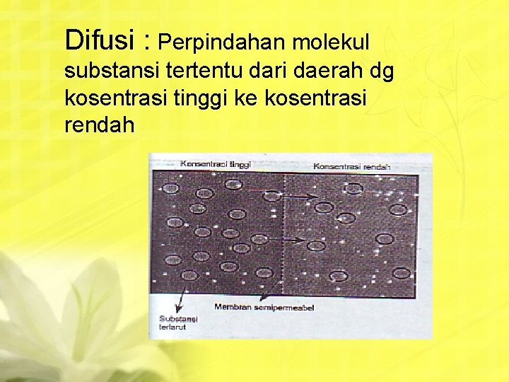 Difusi : Perpindahan molekul substansi tertentu dari daerah dg kosentrasi tinggi ke kosentrasi rendah